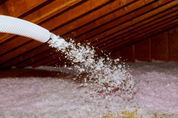 Types of Insulation We Offer in Davis, OK